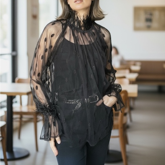 Anthropologie Tops - Anthropologie Rdalamal Black Ruffled Sheer Blouse Long Sleeve Feather Trim New M